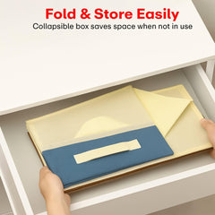 Prime Pick Standard Size Garment Box