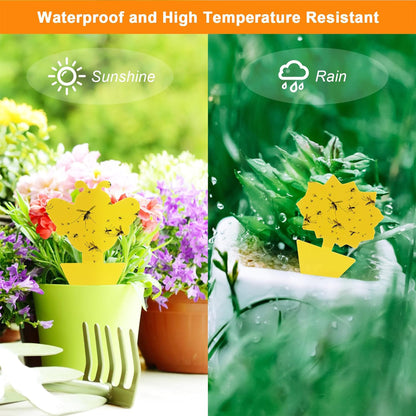 Prime Pick Sticky Traps Set of 12 – Strong Adhesive Insect & Pest Catcher for Home, Kitchen & Garden