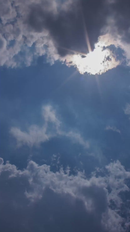 Prime Pick Natural Light Umbrella