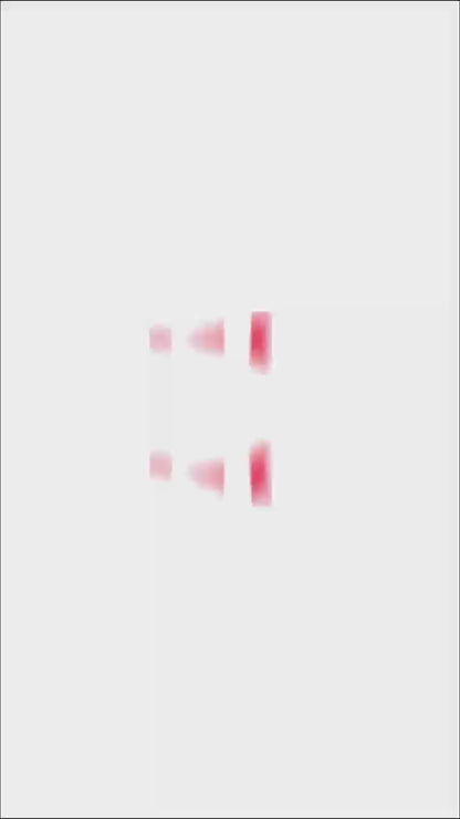 Prime Pick Flat Plastic Cotton Wet and Dry Floor Mop